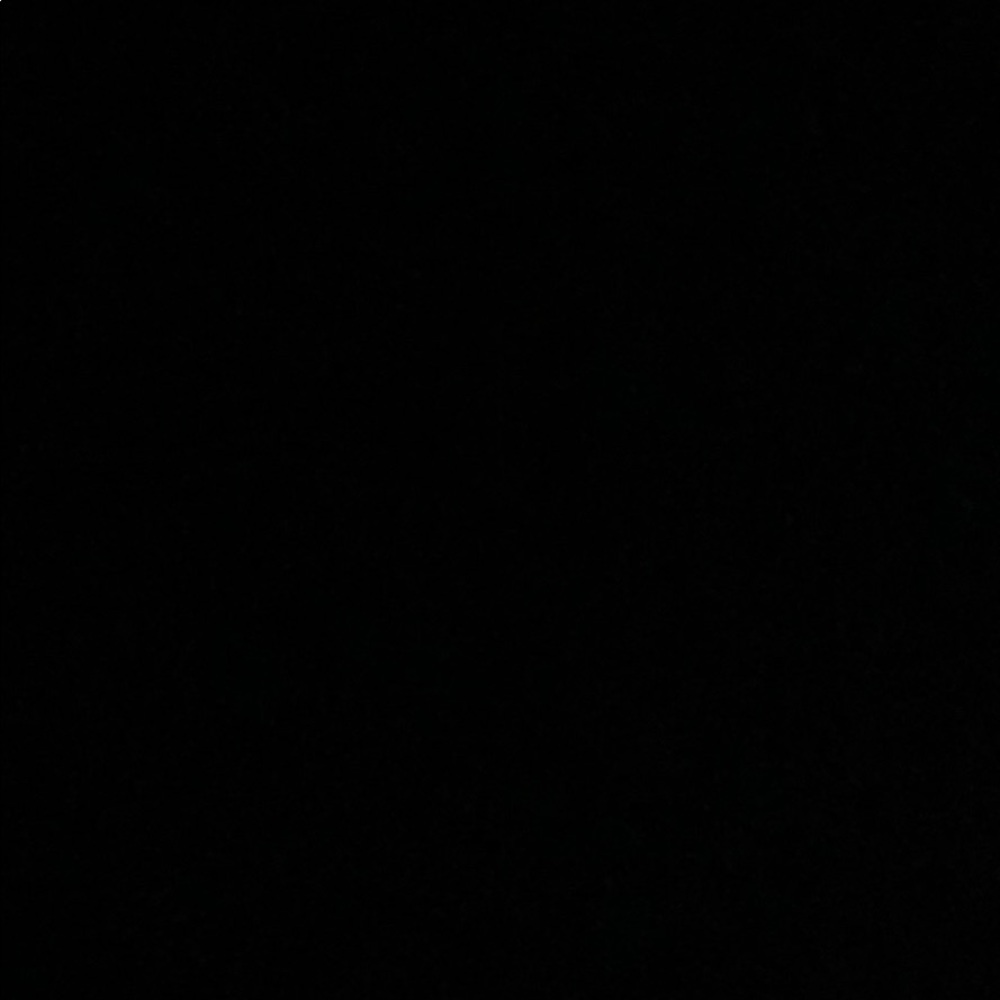 Meet your Posher, Isabella